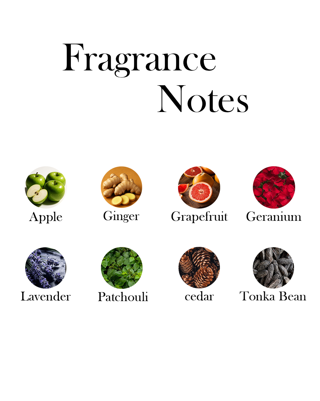Y Le Parfum